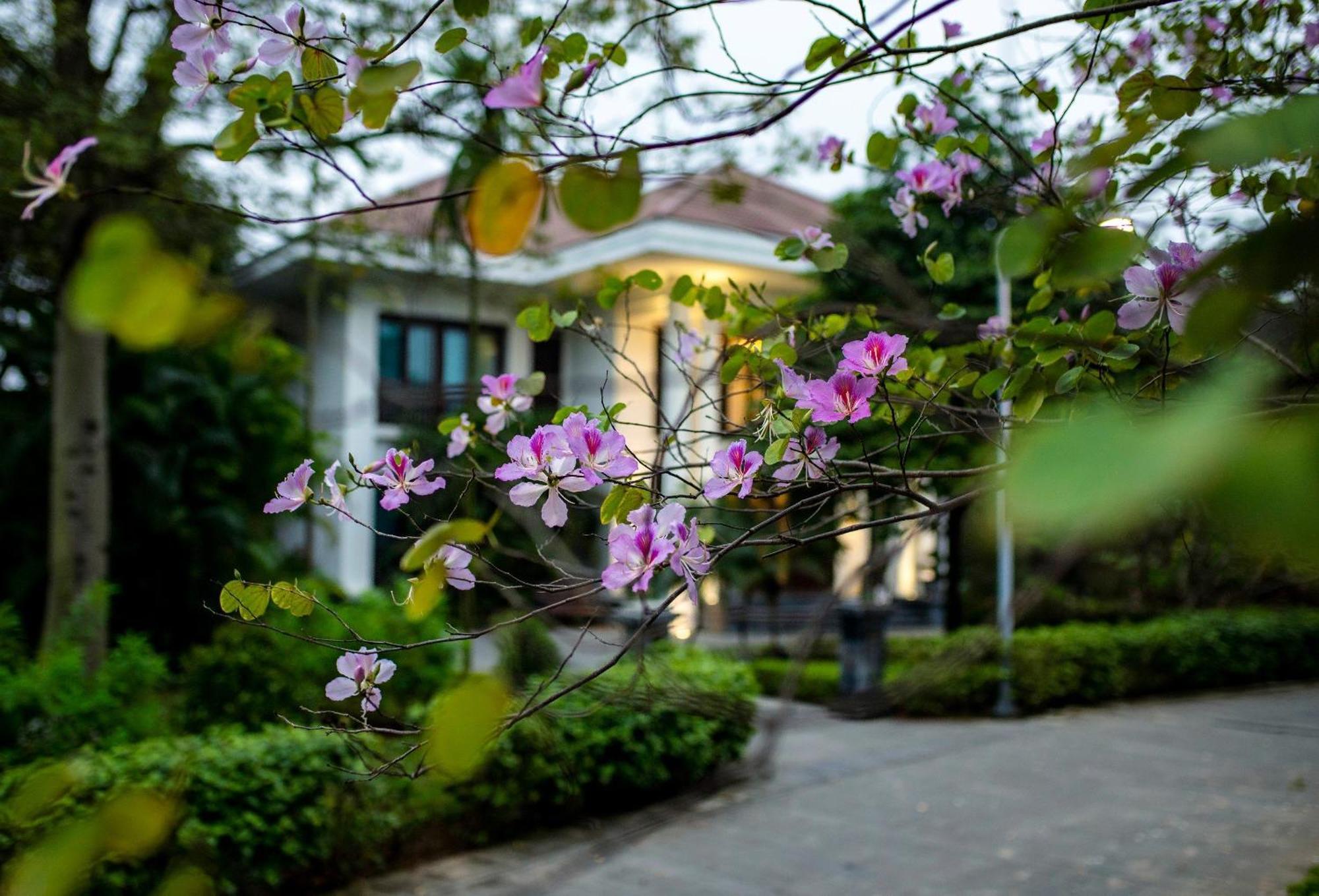 Ncc Garden Villas - Ncc Hotel Hanoi Exterior photo